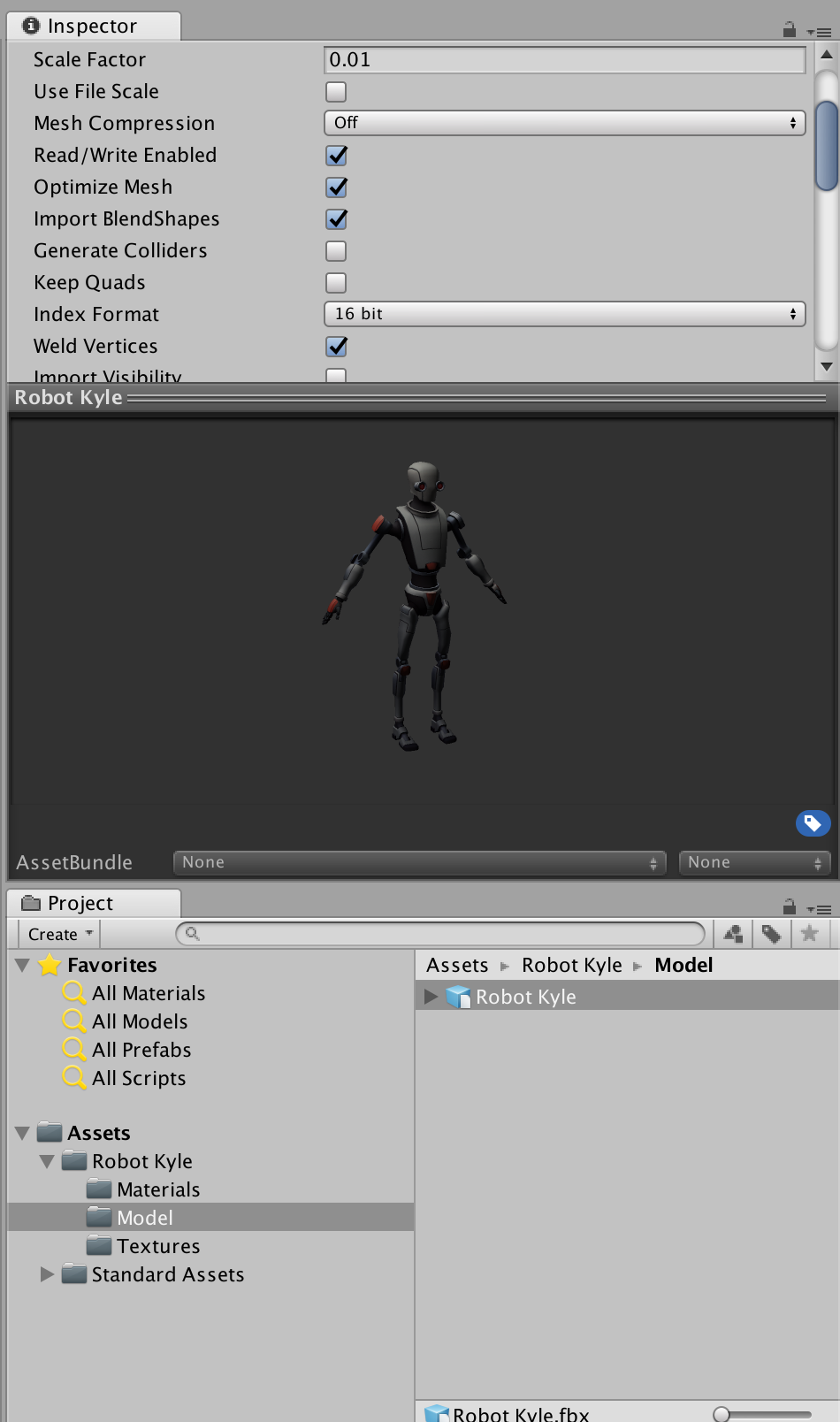 Unity Kyle Import Settings Model 1